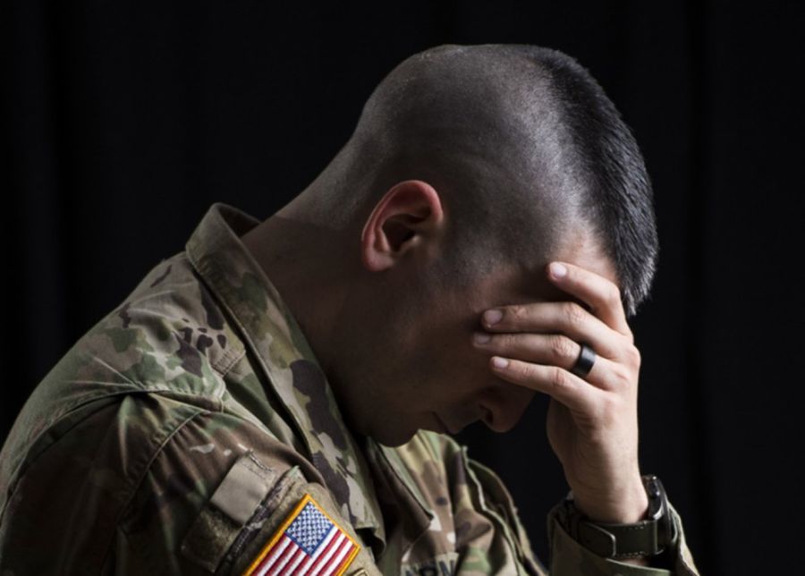 vet suicide